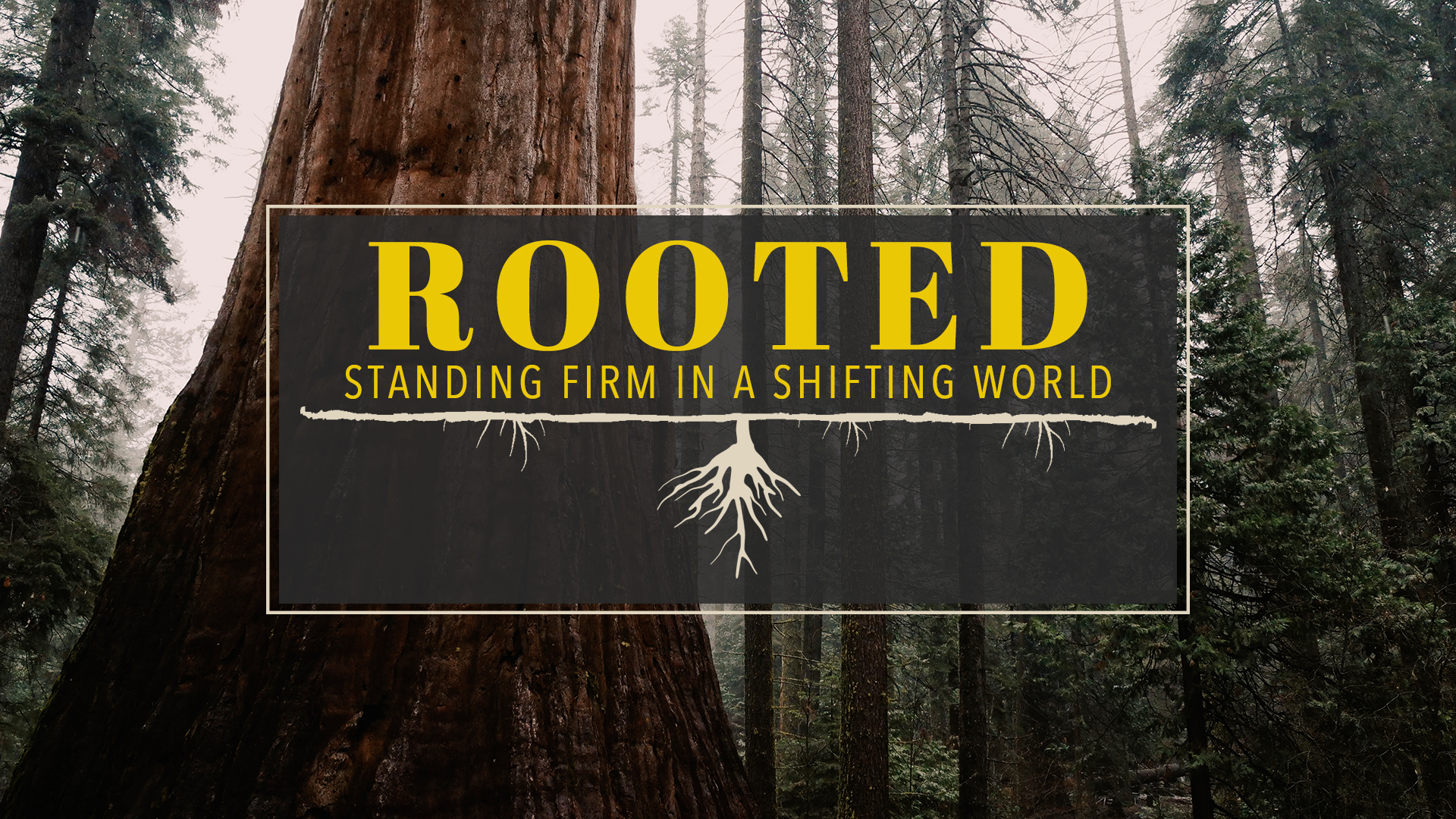 Rooted